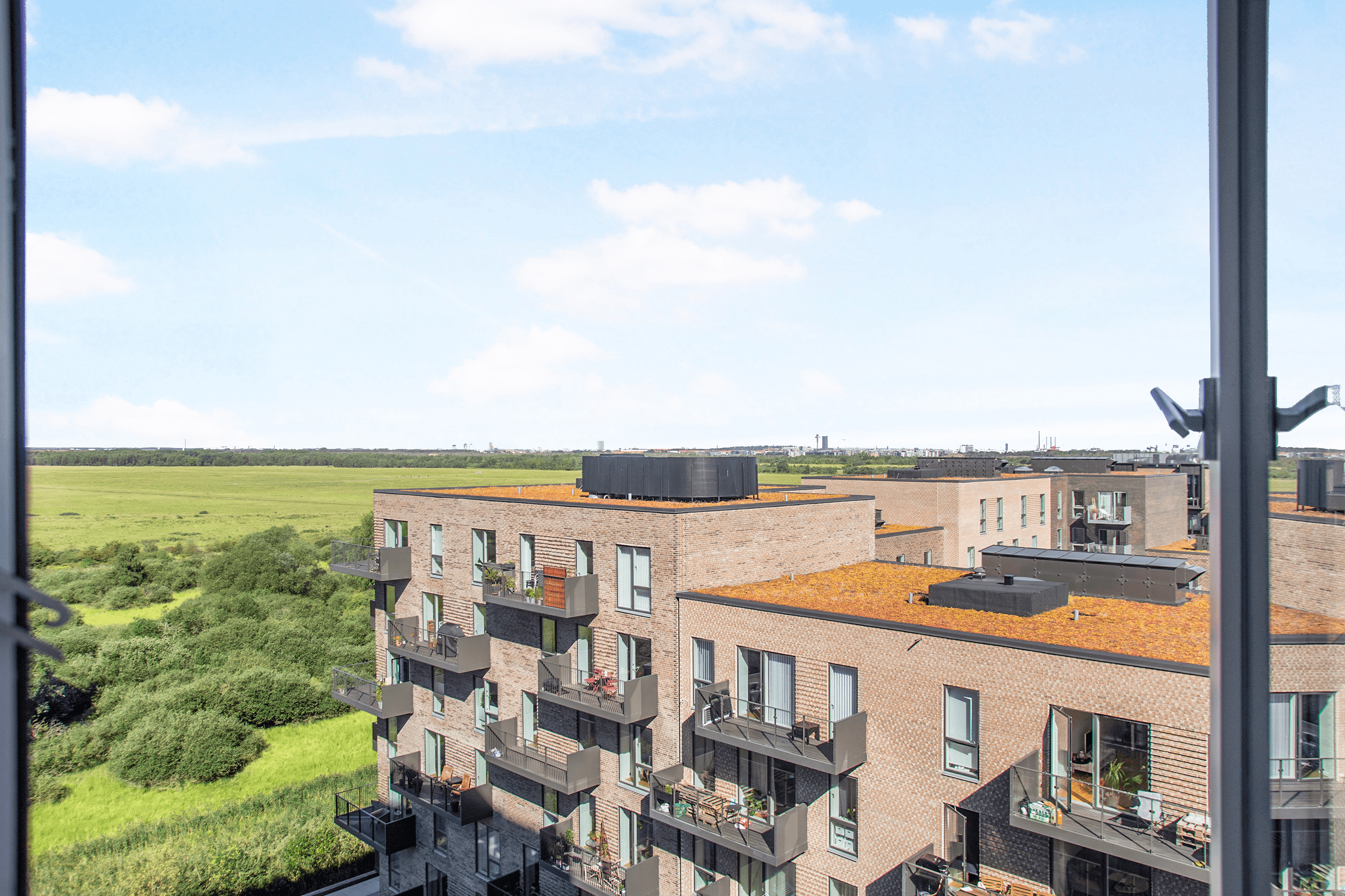 View from Elsehus looking out over the surrounding green landscape.