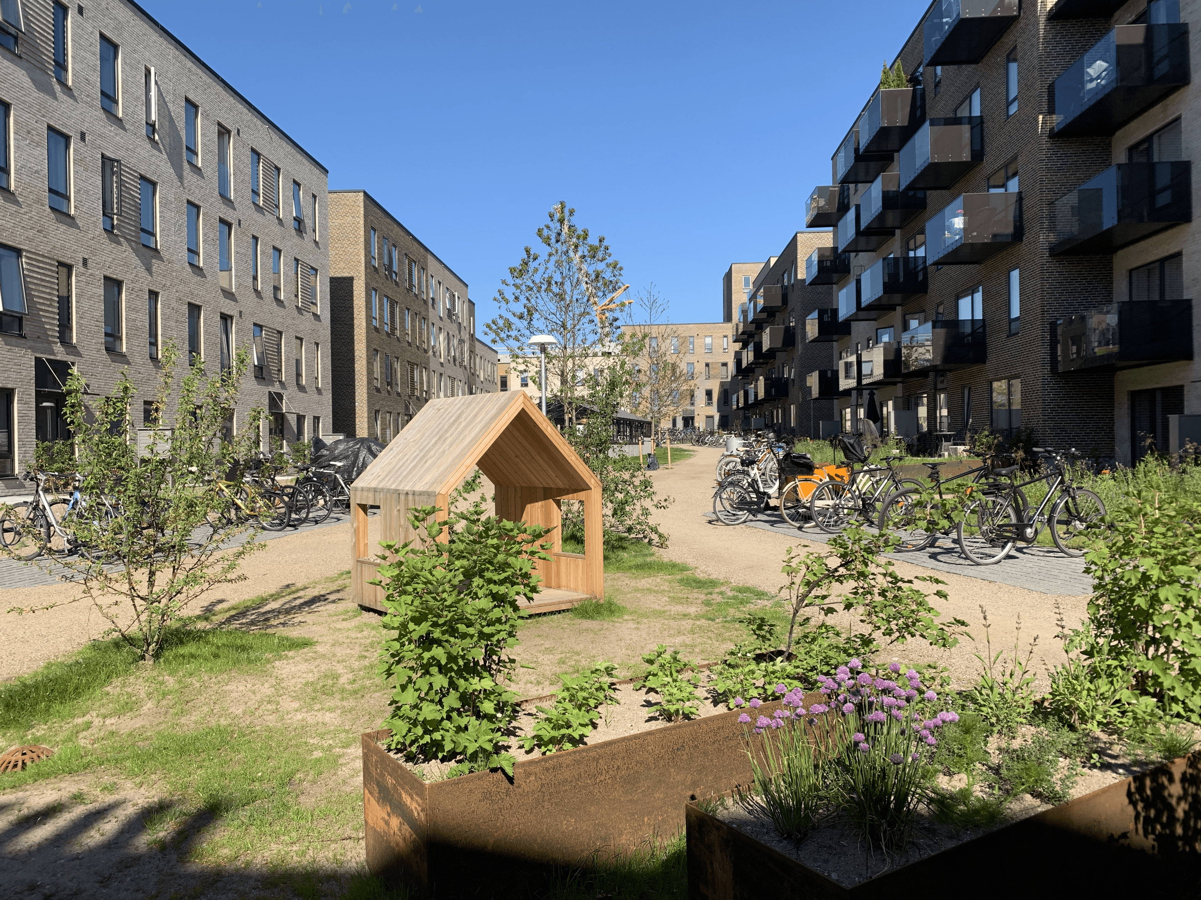 Courtyard environment at Lerholmen, Hedehusene
