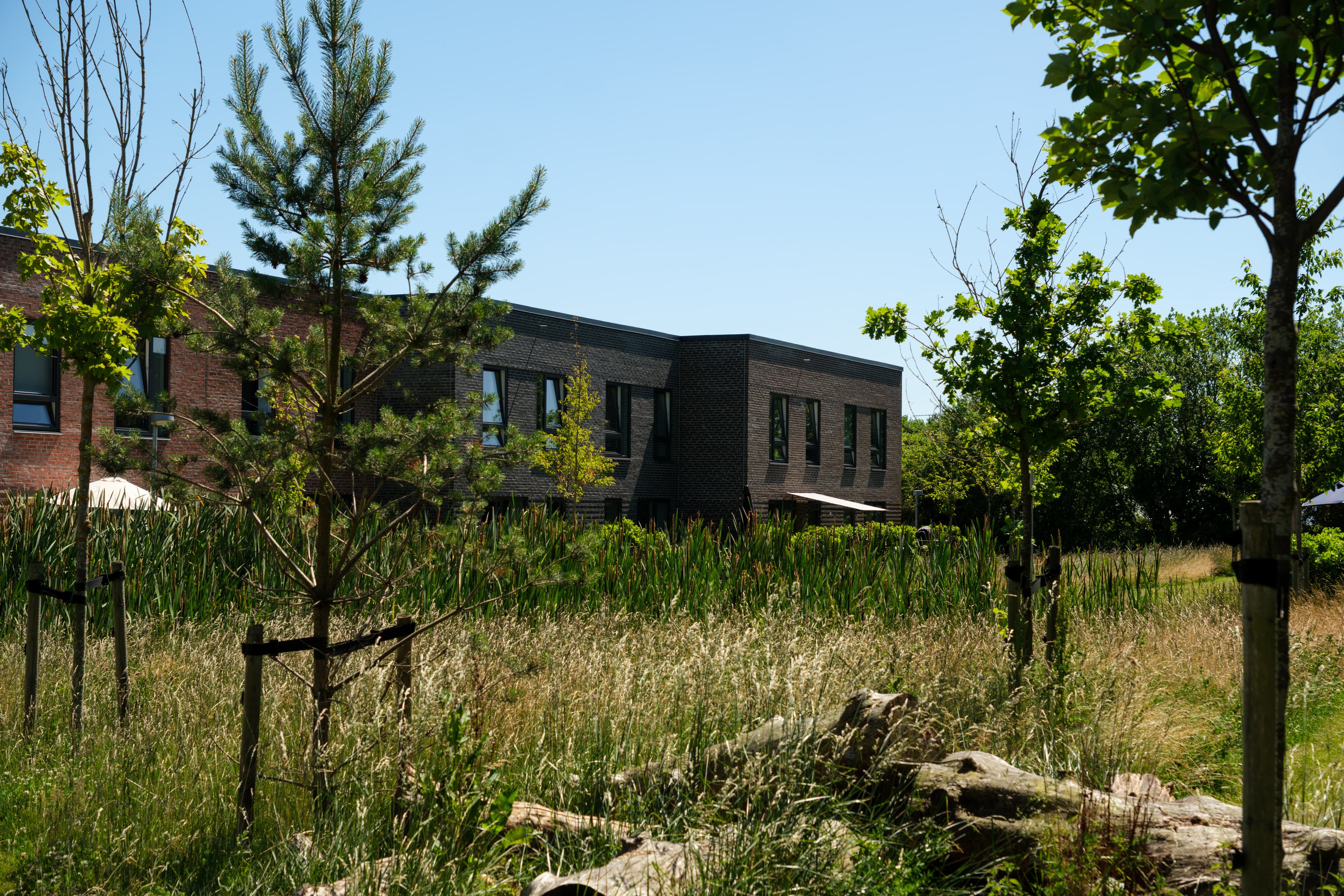 TriumphHusene eksteriør facade
