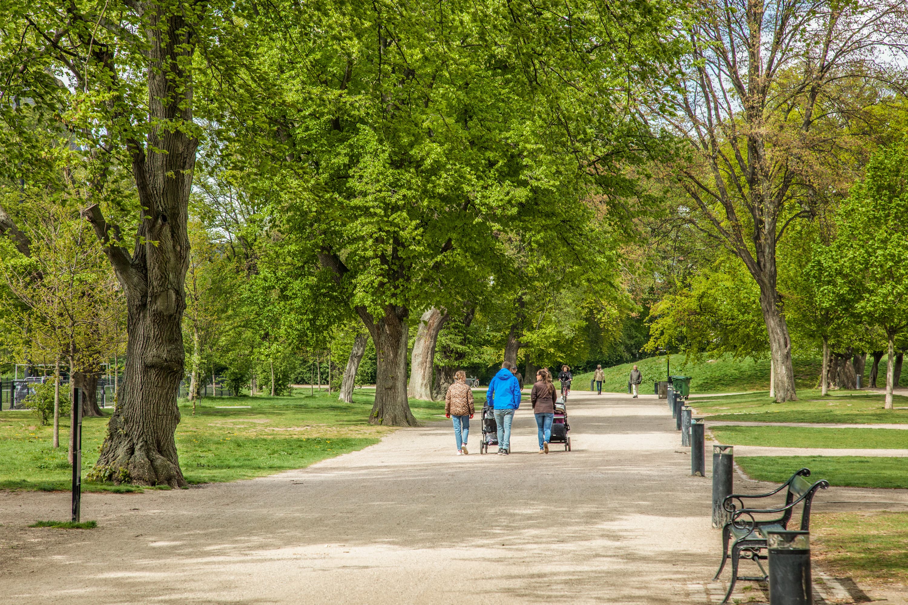 Folk går tur med barnevogn på stien i Fælledparken